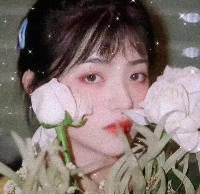 羊城风暴